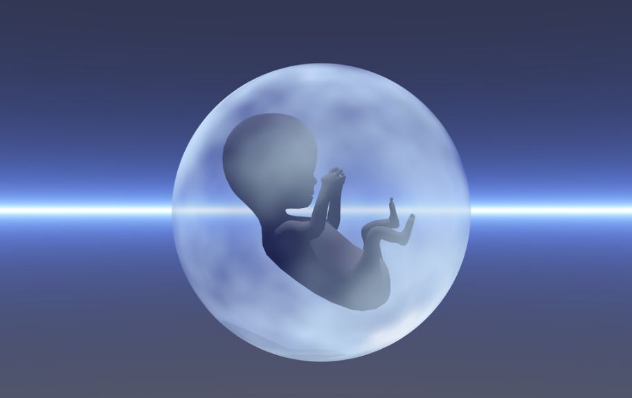 湖州不孕不育医院辅助生殖技术现状分析